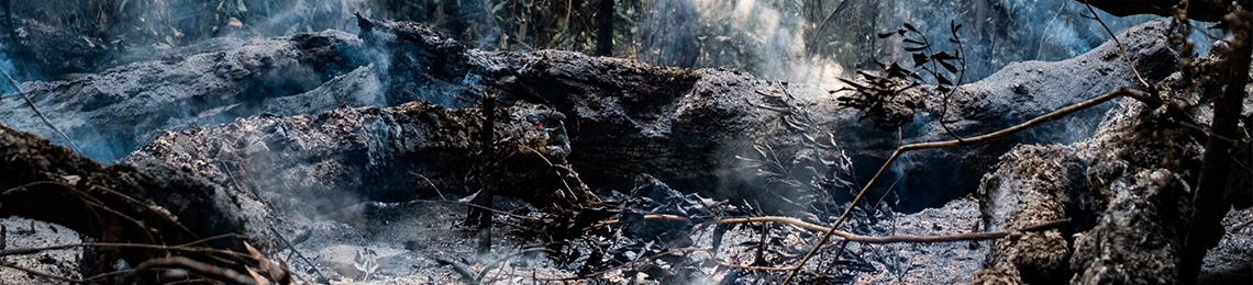 Study Shows Impacts of Deforestation and Forest Burning on Amazon ...