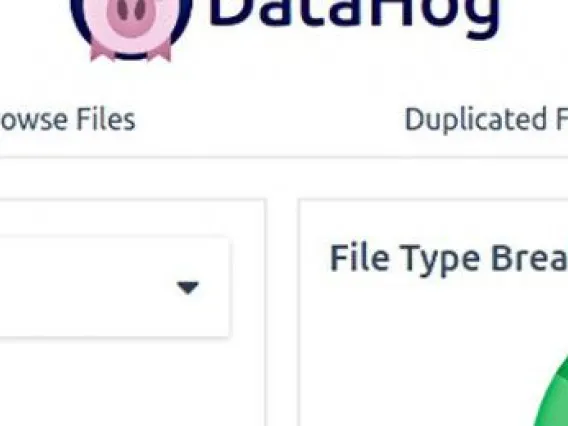 DataHog snapshot