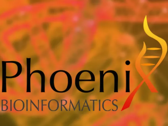 Phoenix news banner