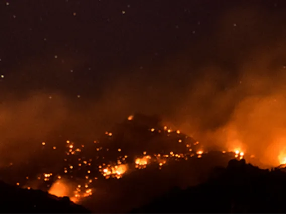 bighorn fire banner