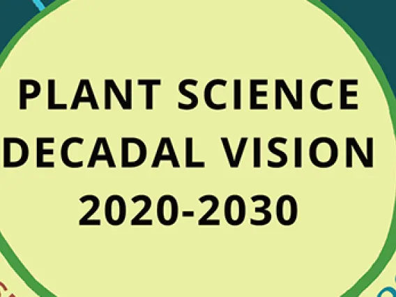 decadal vision news