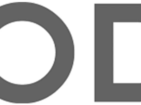 iRODS logo