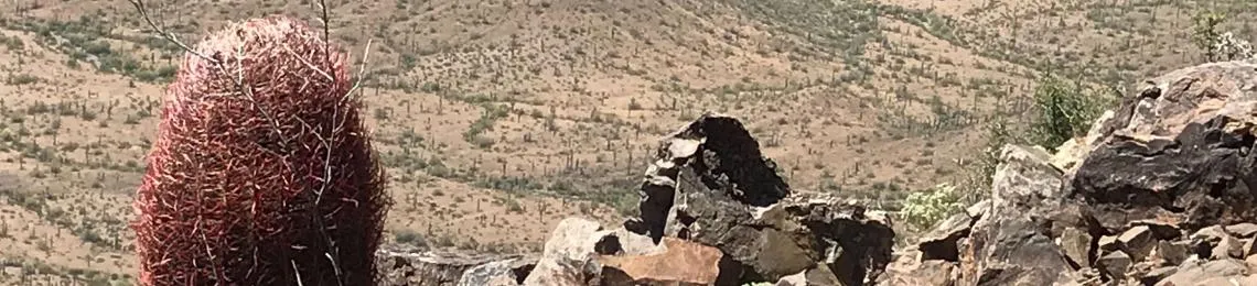 terrain