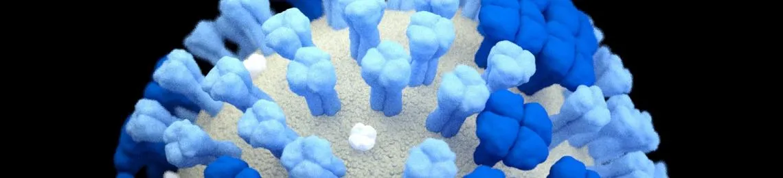virus