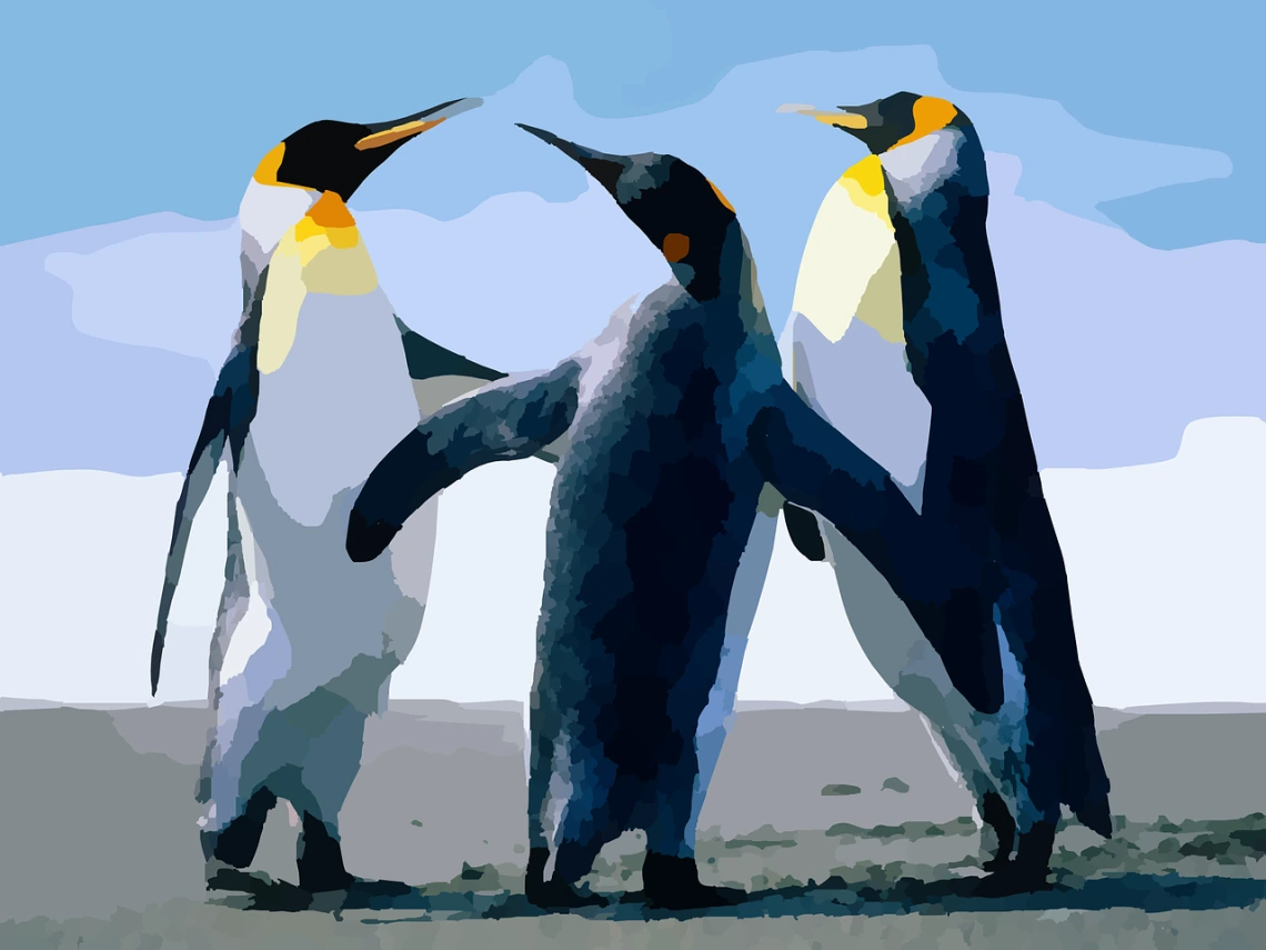 Pixabay sourced image of 3 penguins