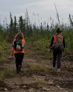 burned veg people walking