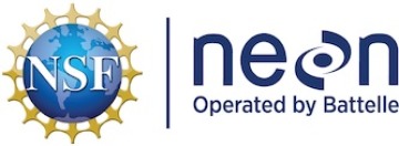 NSF neon battle logo
