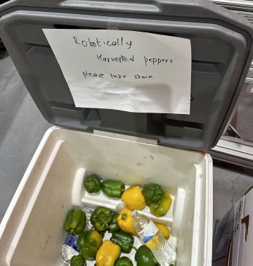 cooler of free robotically harvested peppers at AI Inst Expo Day 2024