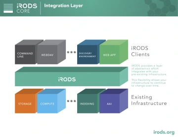 iRODS Integration Layer