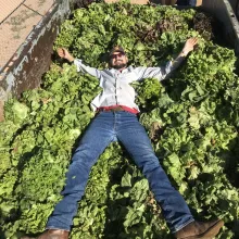 duke pauli on bed of lettuce